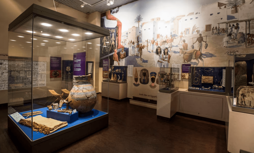 Interior of Liverpool Museum Egypt display